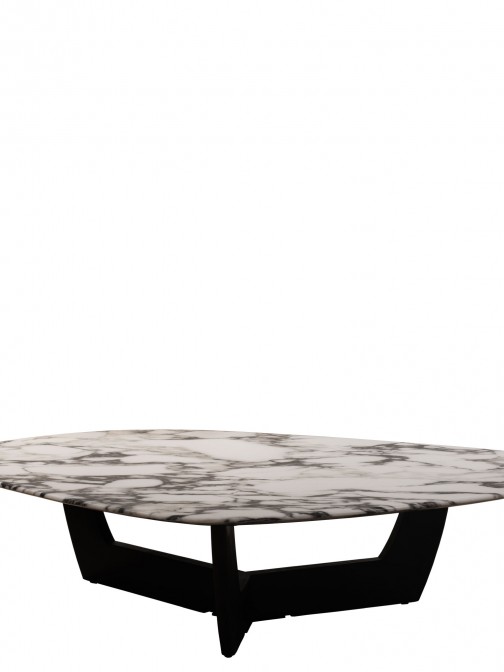Wood and Stone Coffee Table Hydra White