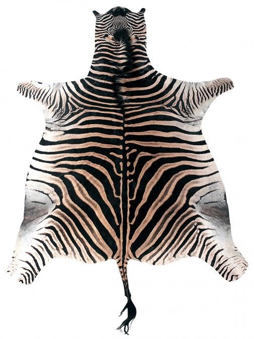 Pele de Zebra ZB01