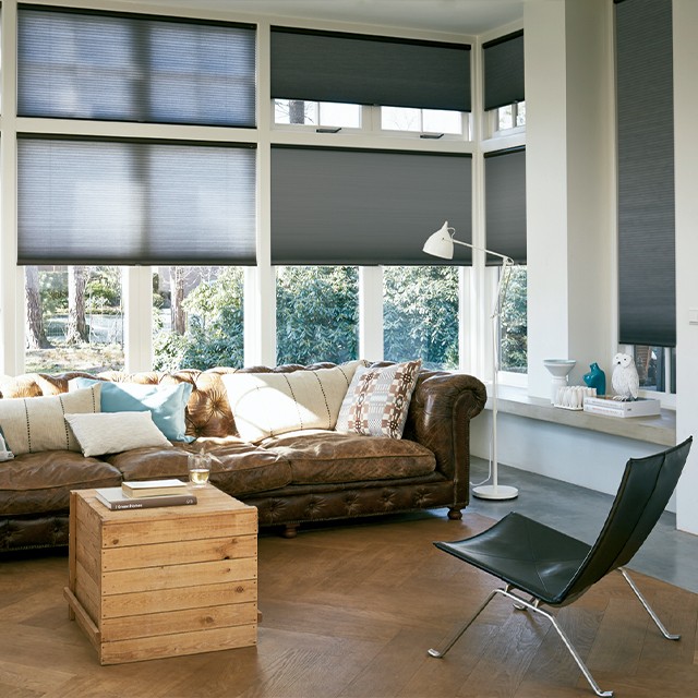 Duette Superdecor Blinds_2