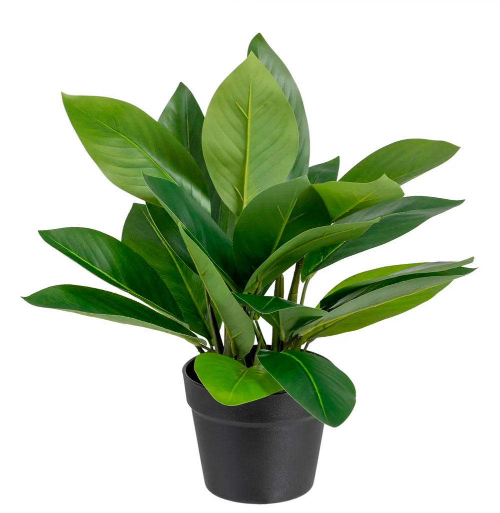 Planta Artificial Aglaonema 452 Verde