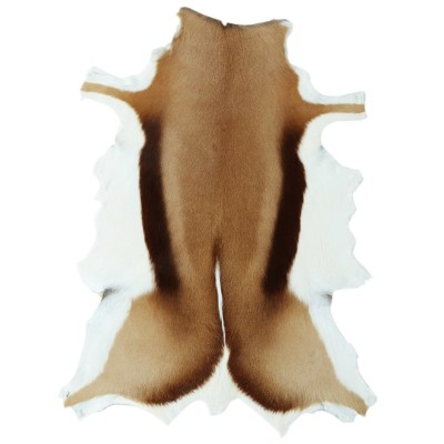 GAZELLE SKIN GZ01
