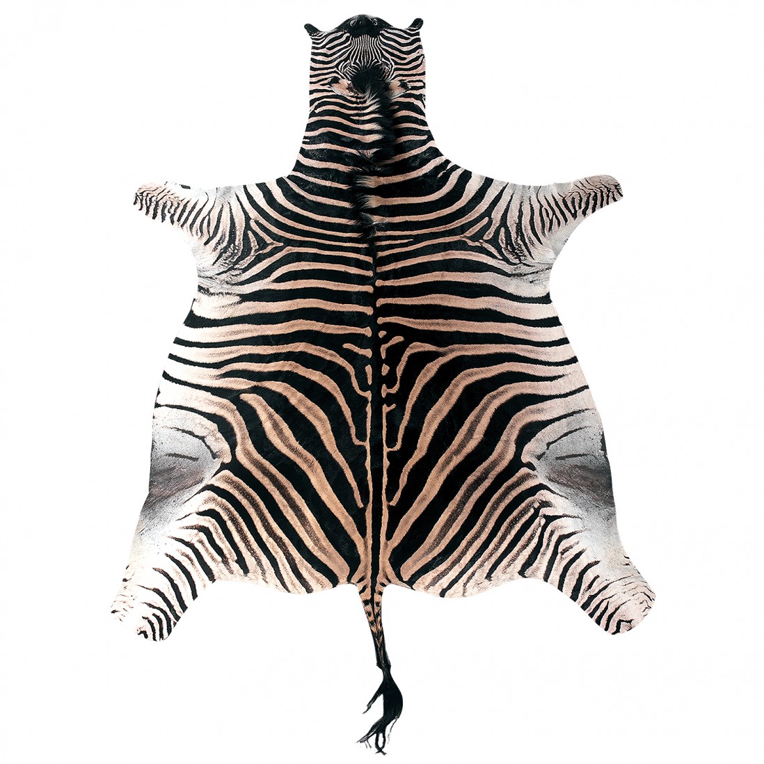 Pele de Zebra ZB01