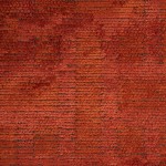 Plain Area Rug Glam Velvet 71431/824 Orange