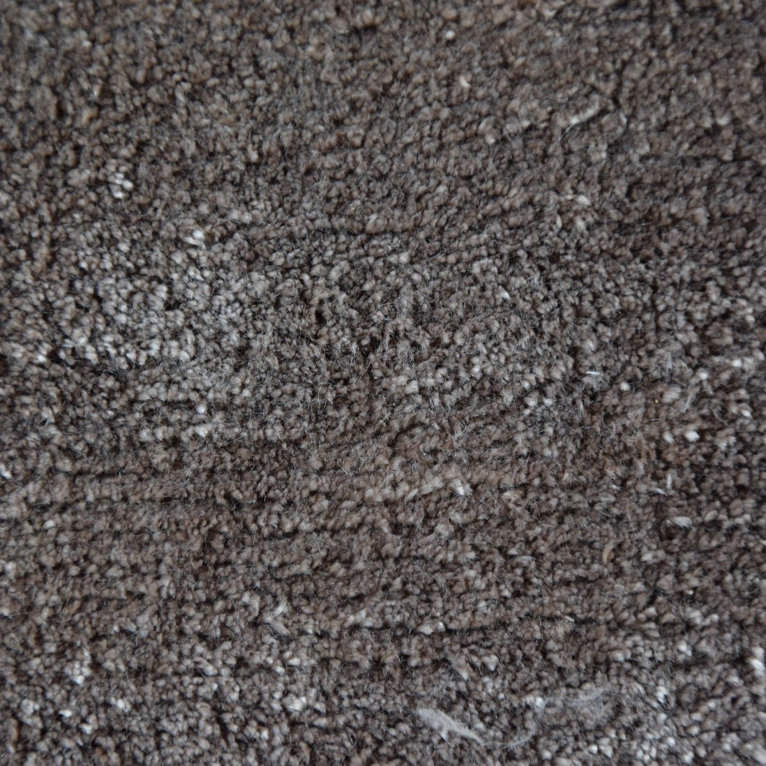 Plain Area Rug Griffe 008 Brown