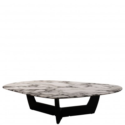 Wood and Stone Coffee Table Hydra White