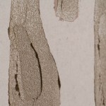 Abstract Decorative Painting 679 Beige