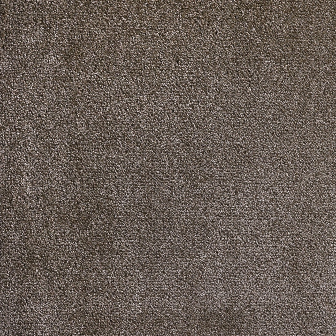 Custom Rug Turim 044 Brown