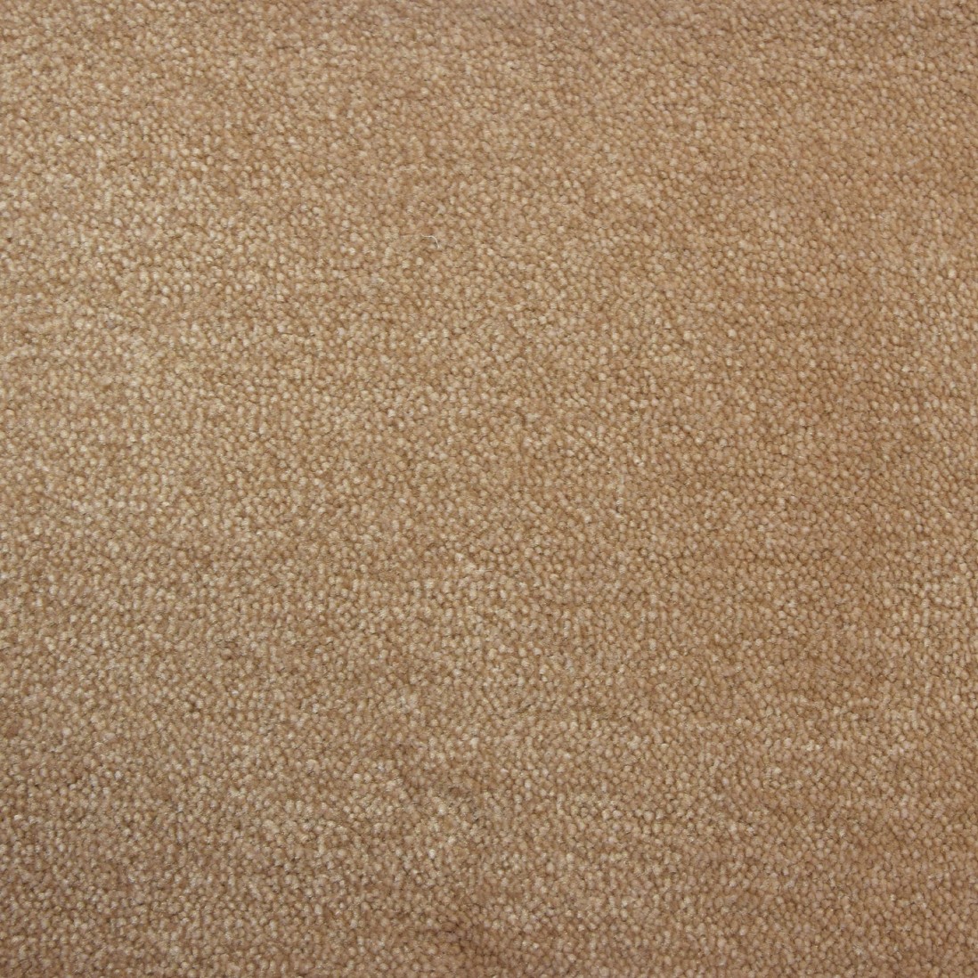 Custom Rug Aprilia 037 Brown