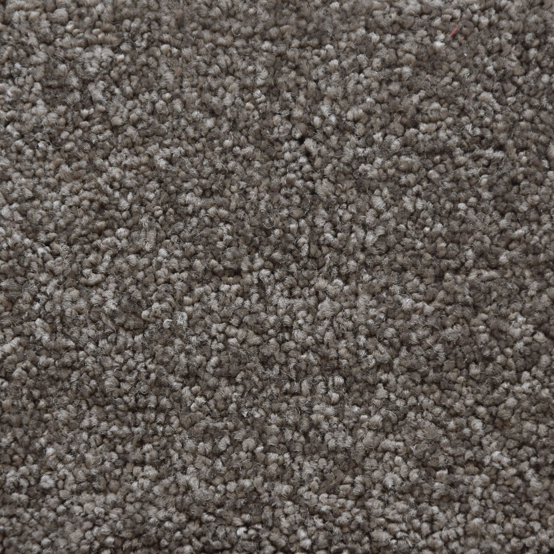 Custom Rug Livorno 044 Brown