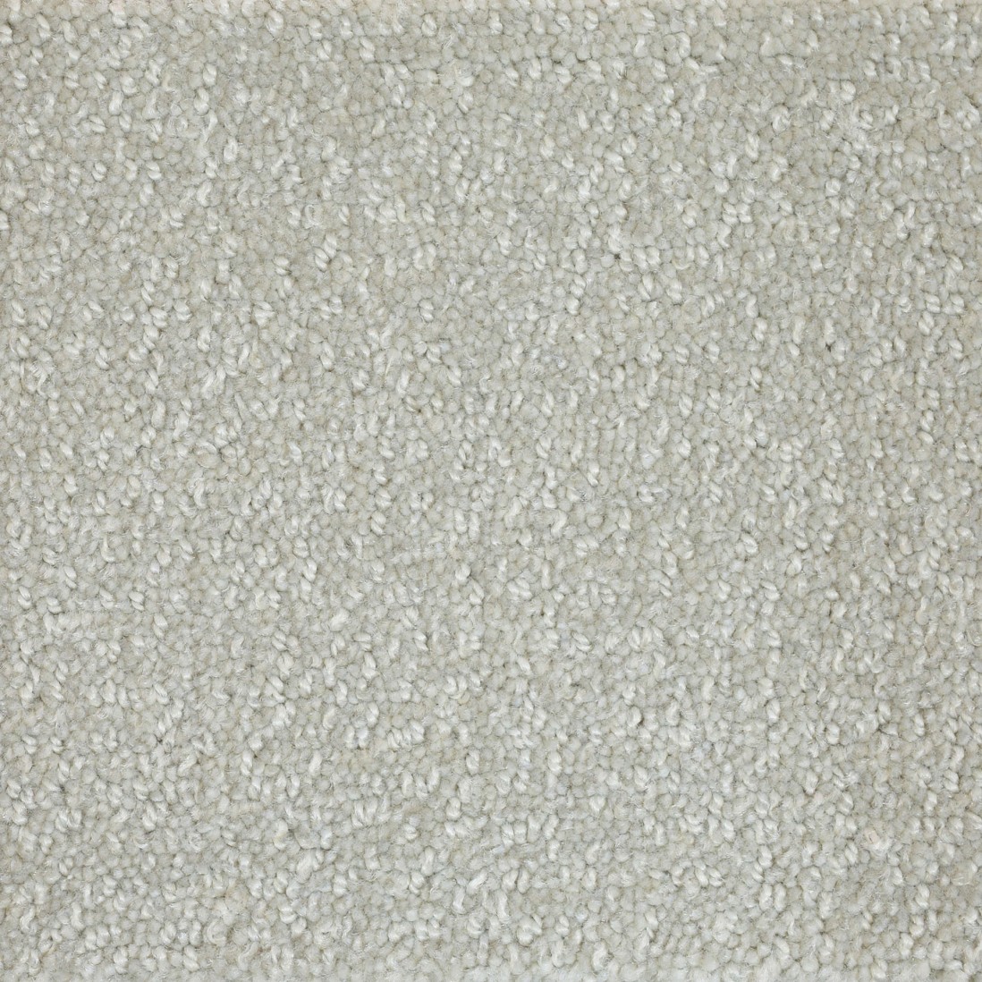 Custom Rug Pisa 122 White