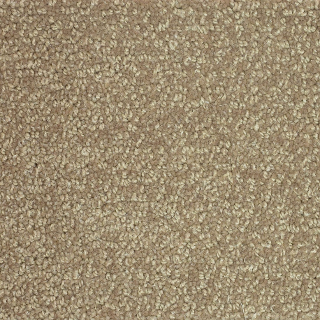 Custom Rug Pisa 123 Beige
