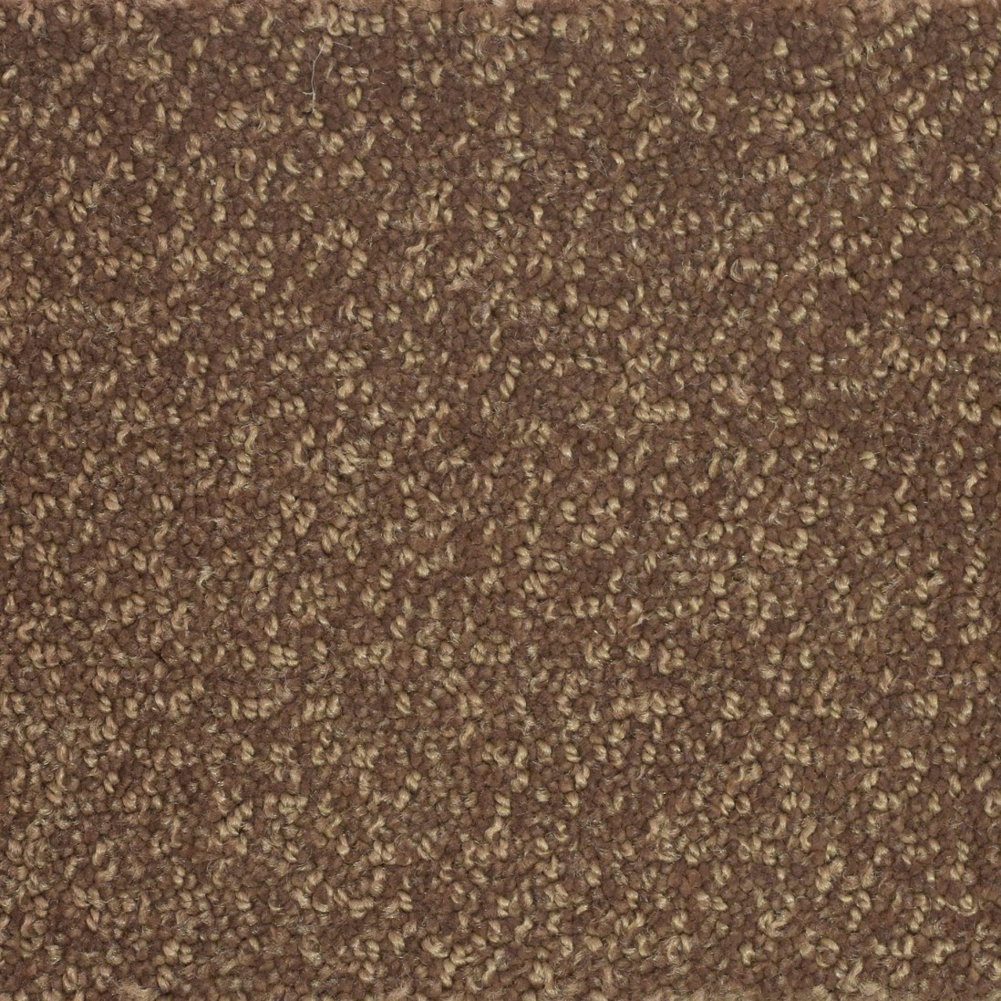 Custom Rug Pisa 143 Brown