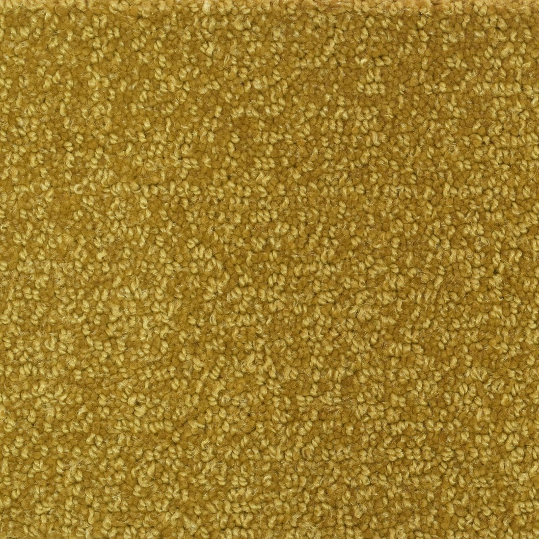 Custom Rug Pisa 153 Yellow