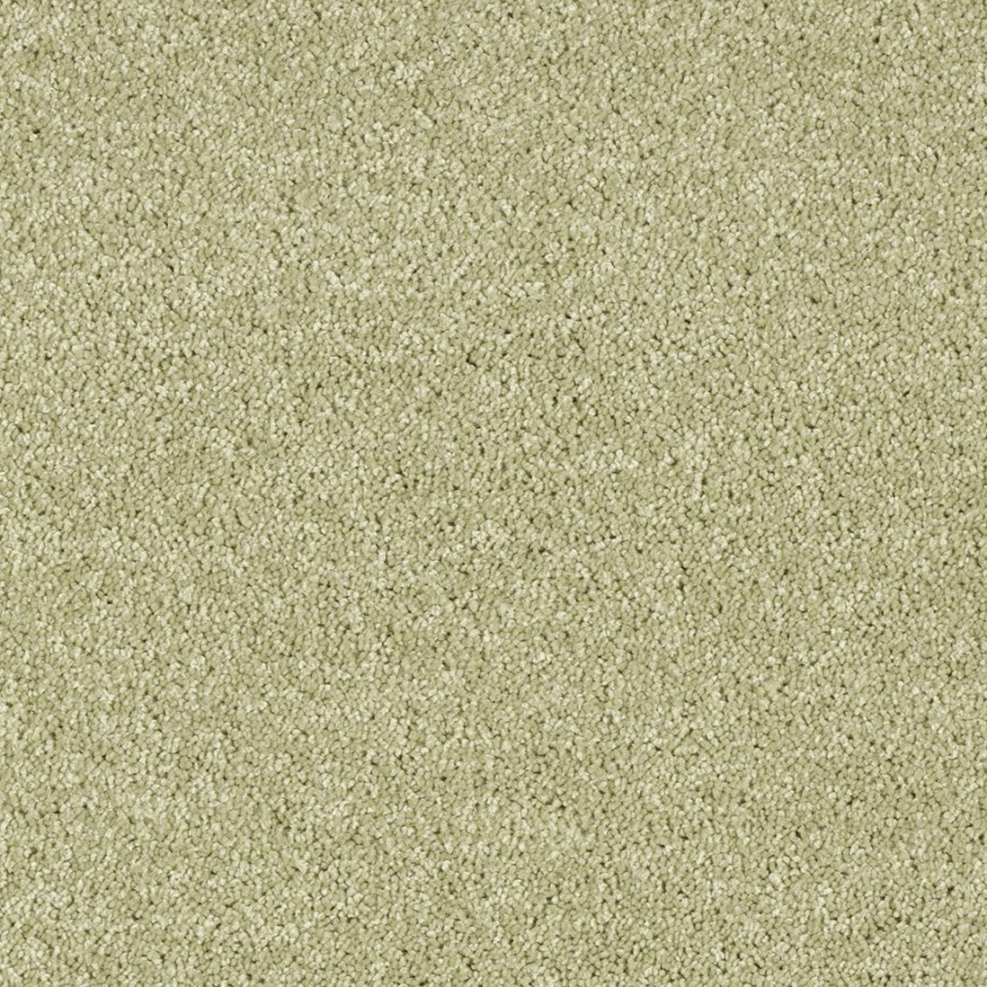 Recycled Custom Rug Amaroni 024 Dry Green