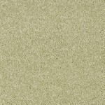 Recycled Custom Rug Amaroni 024 Dry Green