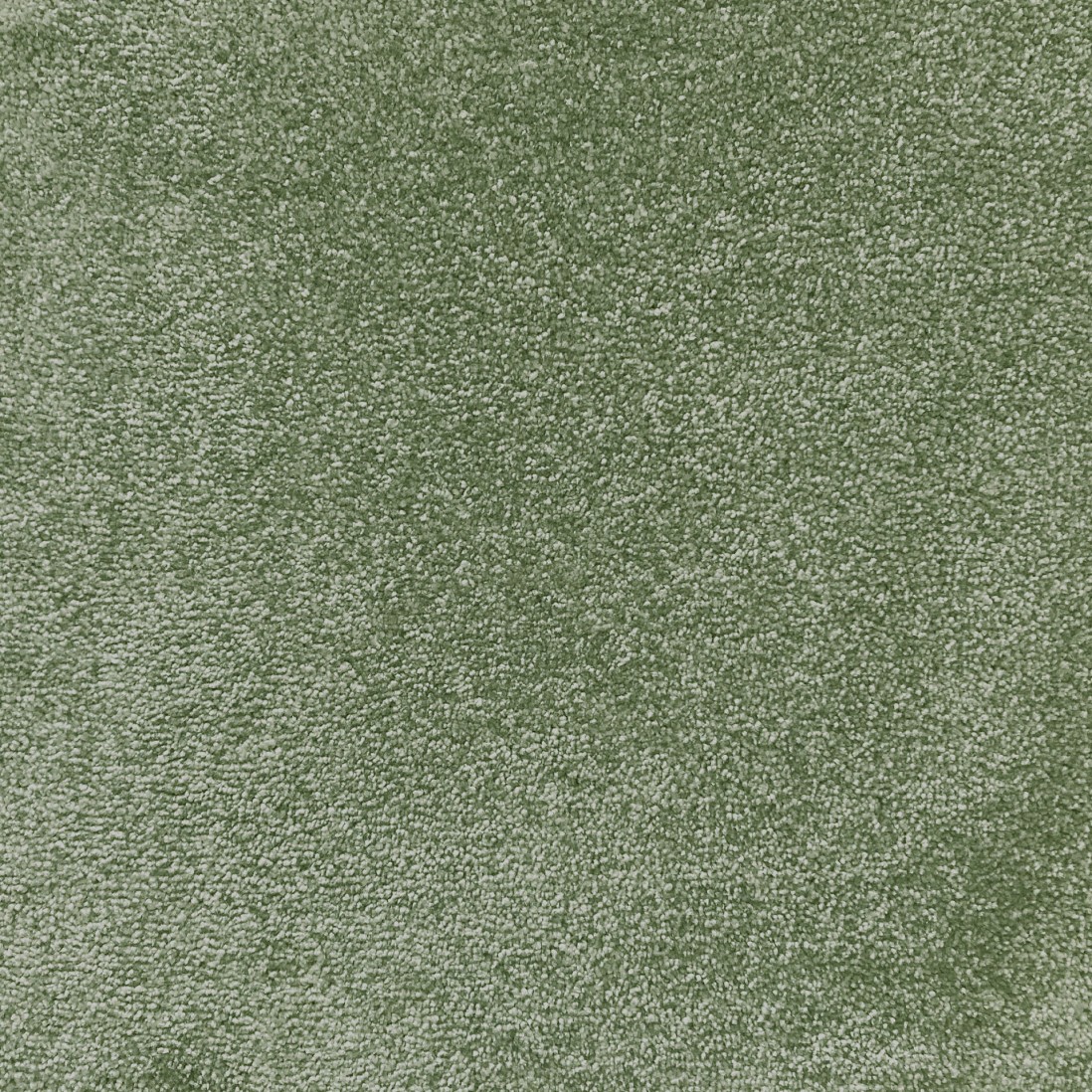 Custom Rug Barletta 028 Dry Green