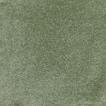 Custom Rug Barletta 028 Dry Green