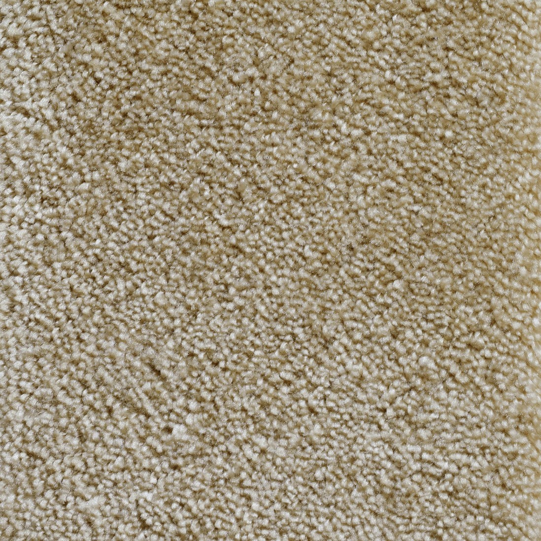 Custom Rug Vicenza 036 Brown